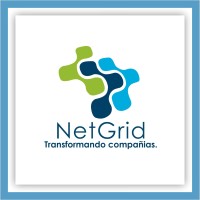 NetGrid logo - Similar company to Vemesco
