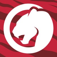 Panther logo - Similar company to Win Réseaux