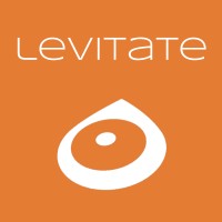 levitate aerospace logo - Similar company to Programic