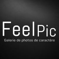 FeelPic, Spécialiste du tableau-photo de paysage logo - Similar company to Alu Art Mountains | Tableaux Photo Alu De Montagne  📷🏔️ Depuis 2017