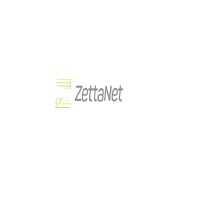 ZettaNet logo - Similar company to Cloudfinity