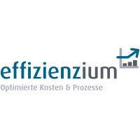 effizienzium GmbH logo - Similar company to Kts Kundertransactions