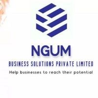 NGUM Business Solutions Private Limited logo - Similar company to Urvashi Maharshi & Co Llp Chartered Accountants