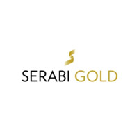 Serabi Gold Plc (LSE: SRB, TSX: SBI; OTCQX: SRBIF) logo - Similar company to Your Ledger