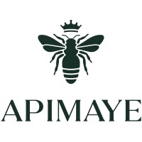 APIMAYE logo - Similar company to A&R Mechanical Contractors, Inc.