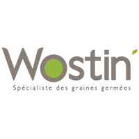 WOSTIN' logo - Similar company to Wecurate.Io