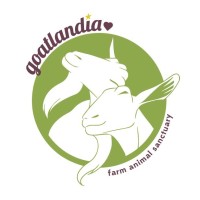 Goatlandia Farm Animal Sanctuary logo - Similar company to Feeding Forward