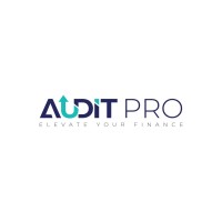 AUDIT PRO logo - Similar company to Ca Rafa & Company
