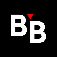 BRABU.NL logo - Similar company to Alphamovil Digital