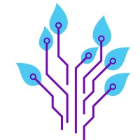 Mindful Codes logo - Similar company to Elevation North Ltd