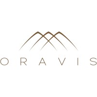 Oravis logo - Similar company to Cap Solutions - Groupement Hexapage