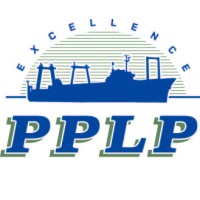 Phoenix Processor Limited Partnership