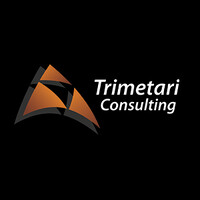Trimetari Consulting LLC logo - Similar company to Zzyzx Imaging Llc