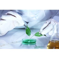 The Growth Lab logo - Similar company to Syna Medical
