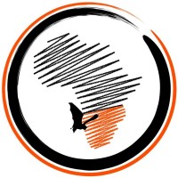 Bats without Borders logo - Similar company to Batability Courses & Tuition