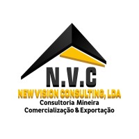New Vision Consulting,Lda logo - Similar company to Multi Windows
