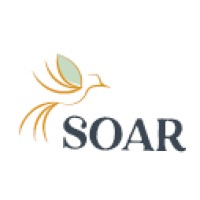 Soar Case Management Services, Inc. logo - Similar company to Wisconsin Peer Specialist Employment Initiative