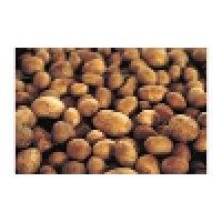 Small Potatoes Structural Engineering