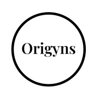 Origyns logo - Similar company to Prithvi Mart