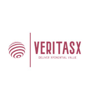 VeritasX logo - Similar company to Fieldflicks