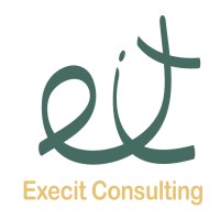 Execit Consulting logo - Similar company to Execit