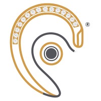Auzi logo - Similar company to Omo Technology
