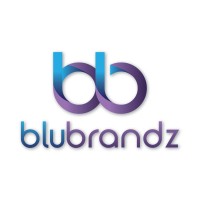 BluBrandz Technologies Pvt. Ltd. logo - Similar company to Akdesignx Studio