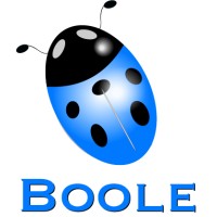 Boole logo - Similar company to Boole Soluciones Tecnológicas Srl
