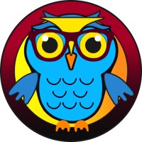 Wise Eye Reading Academy Bellville logo - Similar company to Dynamic Human Capital Development