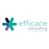 Efficace Consulting logo - Similar company to Motion!