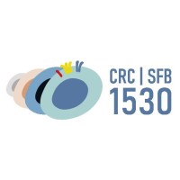 SFB 1530 | CRC 1530 logo - Similar company to Sfb1399