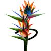 Plantulei logo - Similar company to Vwg, Llc
