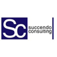 Succendo Consulting