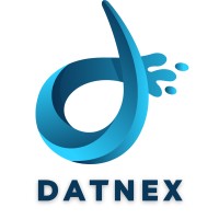 DatNex logo - Similar company to Datalense Services