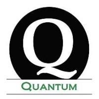 Quantum Professional Search logo - Similar company to Eastosearch, Inc