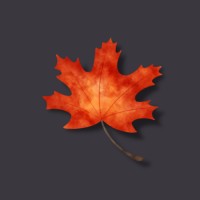 Red Maples Digital logo - Similar company to Red Maple Group