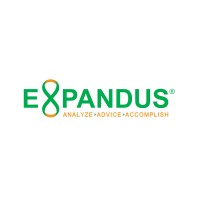 EXPANDUS CONSULTING PRIVATE LIMITED logo - Similar company to Cem Electromech Private Limited