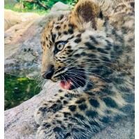 Staten Island Zoo