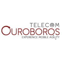 Ouroboros Telecom | Fixed and Mobile Core Network Solutions 🇫🇷 logo - Similar company to Protei