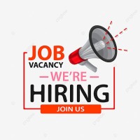 Job hiring logo - Similar company to Web Developers