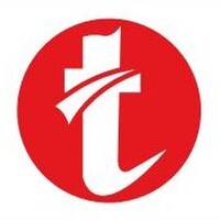 Techlight IT Institute logo - Similar company to Durdom Crafters