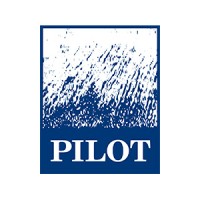 Pilot P B Inc logo - Similar company to Nm3 Techniques Inc
