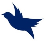 CoValue Consultancy LLC logo - Similar company to Accuvize