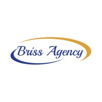 Briss Agency logo - Similar company to Torkhan Digital Agency