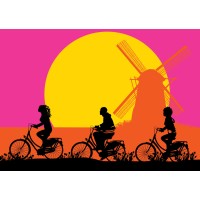 Joy Ride Tours