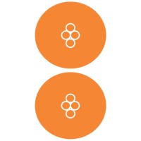 Biosystems Healthcare logo - Similar company to Amex Diagnostics & Genomics Ltd