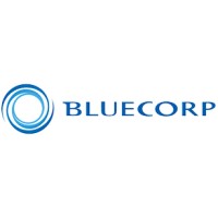 Bluecorp SRL logo - Similar company to Bitenbyte