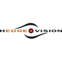 Hedge Vision Capital Ltd logo - Similar company to Wild Group Management Ag