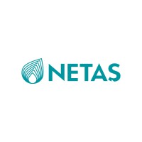 NETAŞ logo - Similar company to Grupo Netas | Treinamento E Desenvolvimento
