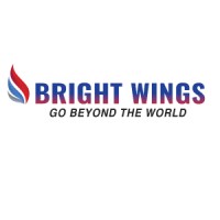 Bright Wings logo - Similar company to Deweb
